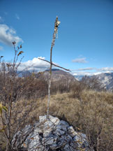 Via Normale Monte Brancot - Palantarins - Tre Corni - panorama dalla cima del Palantarins