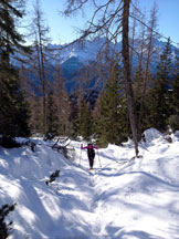 Via Normale Monte Schiavon - Dopo gli schianti