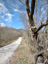 Via Normale Monte Vodice - panorama lungo il sentiero