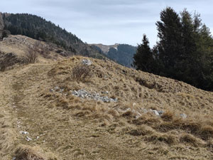 Via Normale Monte Pizzoc da Fregona