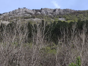 Via Normale Monte Carso ( Mali Kras )