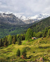 Via Normale Croda della Calva - Malga Peder
