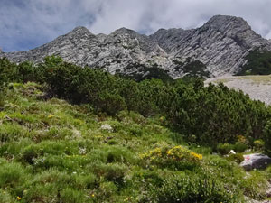 Via Normale Monte Lavara