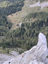 Via Normale Monte Forcella 1902 - Panorama dalla cresta verso casera Palantina