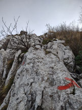 Via Normale Monte Postoucicco - Breve gradino roccioso verso la cima