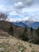 Via Normale Monte Cuar - Panorama dalla cima