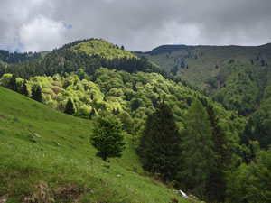 Via Normale Monte Dauda da Pesmolet