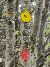 Via Normale Monte Dauda da Pesmolet - Segnavia