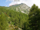 Via Normale Monte Mater - Lungo il Dosso Cigolino