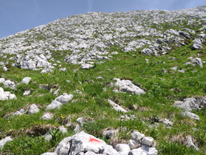 Via Normale Monte Sart o  Sert