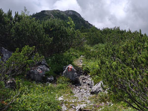 Via Normale Monte Osternig o Oisternig