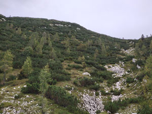 Via Normale Cima Mora