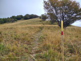 Via Normale Monte Duron - Verso la cima del Monte Cuar