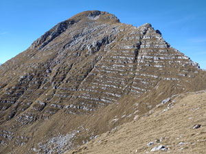 Via Normale Monte Cimone dai piani di Montasio