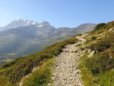 Via Normale Arezhorn - Salendo verso l'Arezhorn con vista sul gruppo del Fletschhorn (ph. M. Carlesso)