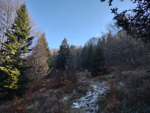 Via Normale Pala d'Altei e Picchi senza nome