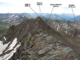 Via Normale Pizzo Centrale - Gi�bin - Immagine ripresa dalla vetta del Pizzo Centrale