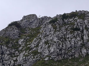 Via Normale Monte Tinisa