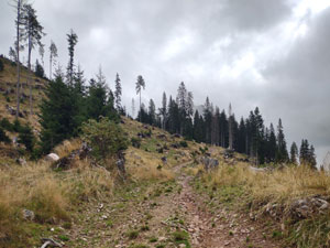 Via Normale Col della Varda