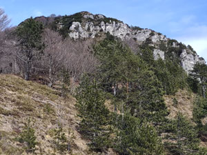 Via Normale Monte Plananizza