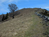 Via Normale Colmegnone - da Moltrasio - Sulla cresta W, a pochi metri dalla cima