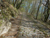 Via Normale Colmegnone - da Moltrasio - In discesa, sulla mulattiera