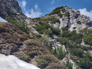 Via Normale Monte Piccolo Jof di Miezegnot