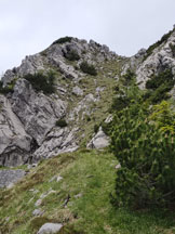Via Normale Monte Zermula - Cul di Creta - Verso la cima del Cul di Creta 