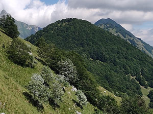 Via Normale Monte Chila 