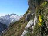 Via Normale Monte I Muri - Gruppo del Cavallo