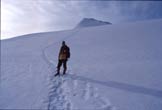 Via Normale Similaun - Sul ghiacciaio sotto la cima