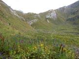 Via Normale Monte Listino - La piana del Gaver