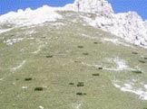 Via Normale Cima Montanel - La sella e la durissima salita