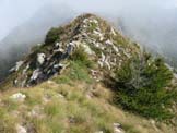 Via Normale Monte Zucchello - Il cocuzzolo erboso della cima