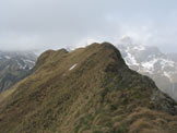 Via Normale Cimon della Stia - Cima vista dalla cresta