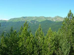 Via Normale Monte la Piella