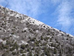 Via Normale Monte Pizzocolo - Cresta SE