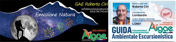 GAE Roberto Ciri