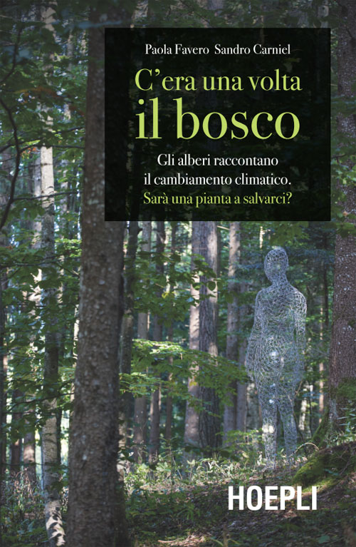 C'era una volta il bosco