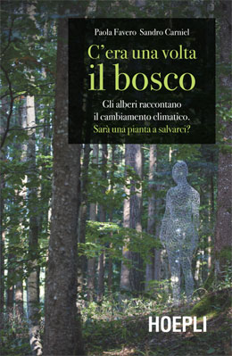 C'era una volta il bosco