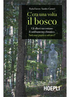 C'era una volta il bosco