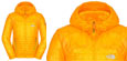 The North Face Men DNP Hoodie