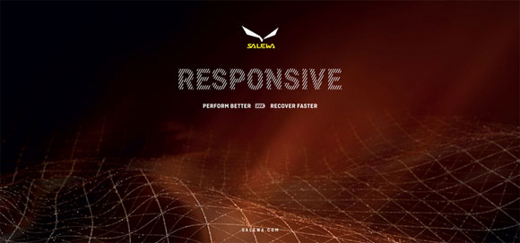 Salewa-responsive