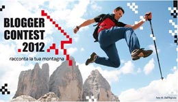 Blogger Contest.2012
