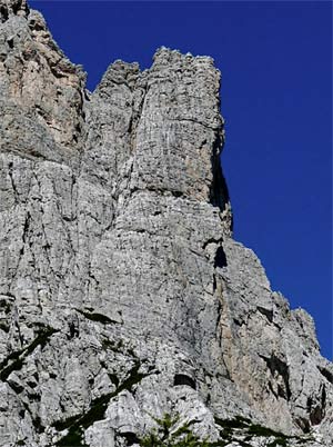 Torre Jolanda - La parete della Torre Jolanda (Moiazza)