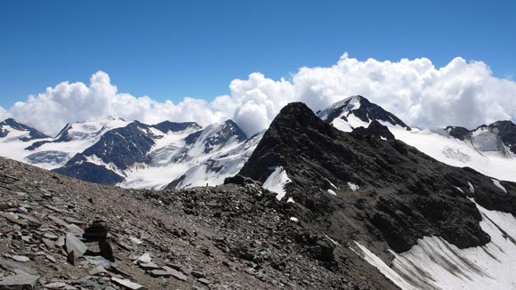 TredCime - Punta Pedranzini dal Pizzo Tresero