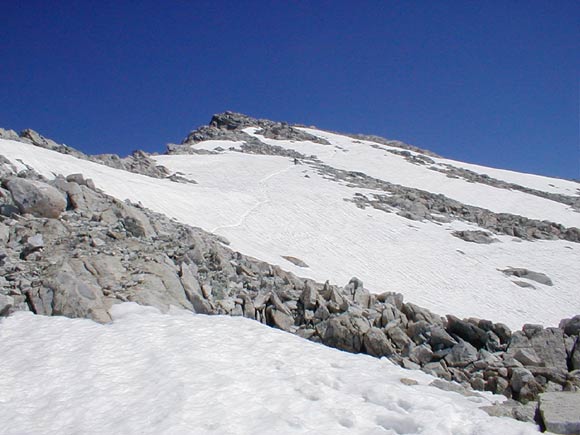 Monte Adamello - Verso la cima lungo la cresta ovest
