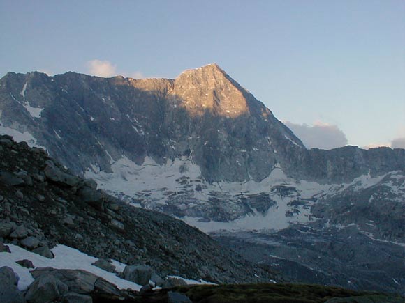 adamello - La parete est e la cima alle prime luci dell'alba viste salendo al Passo Brizio