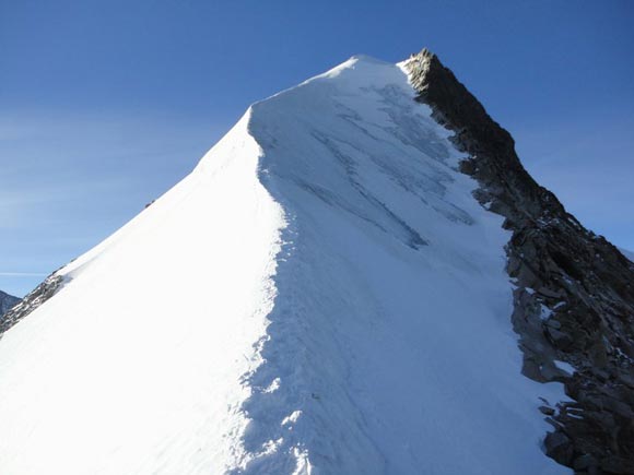 Biancograt Pizzo Bernina - Inizio della cresta nevosa