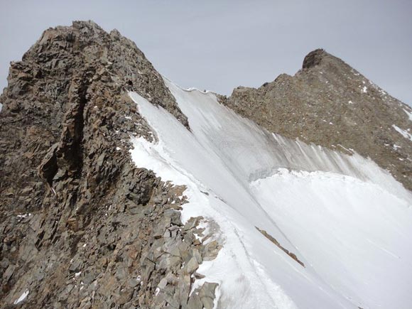 Biancograt Pizzo Bernina - Le due cime del Bernina (IT e CH) durante la discesa